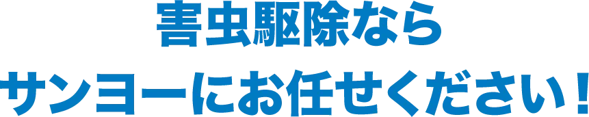 害虫駆除ならサンヨーにお任せください！